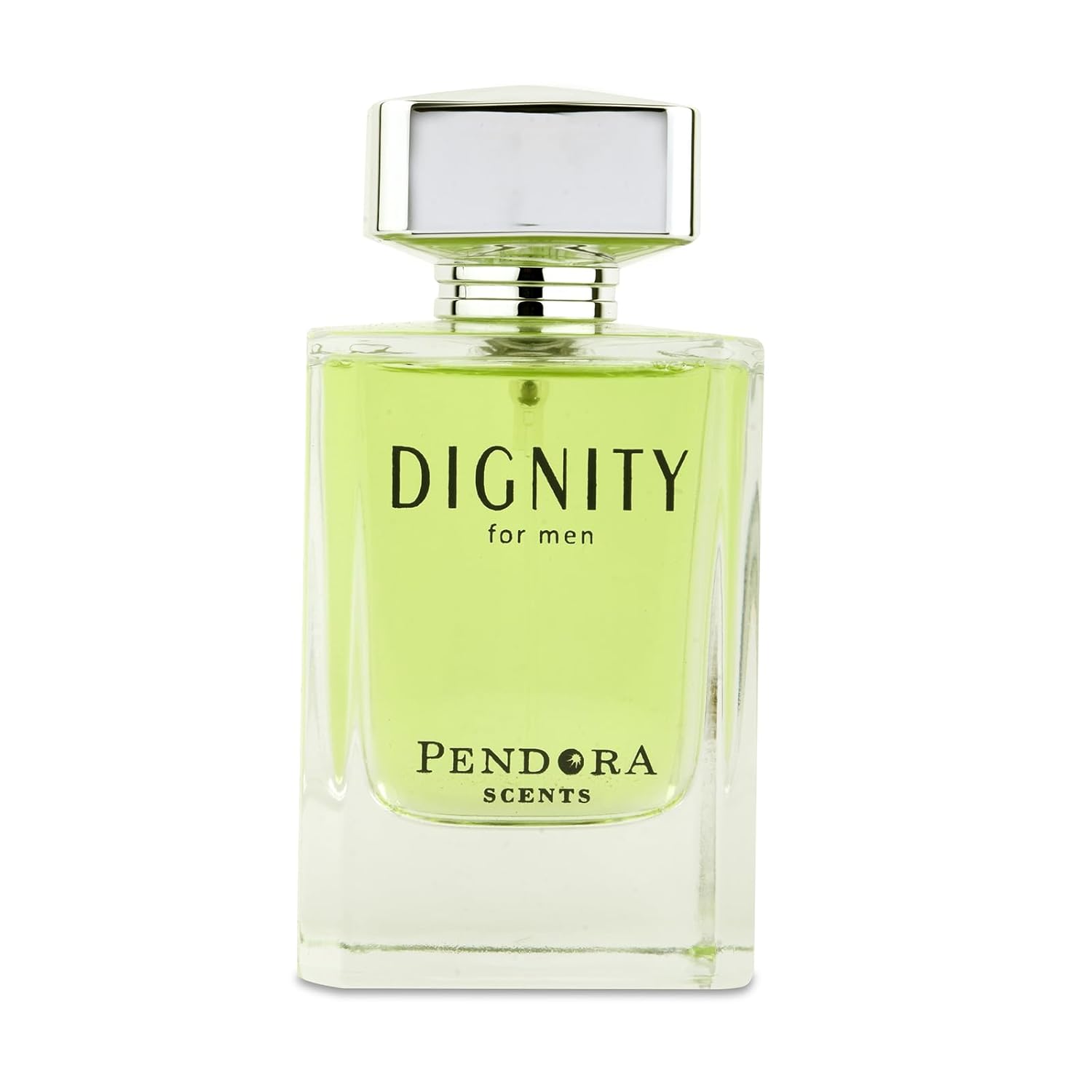 Paris Corner Pendora Scents Dignity Eau De Parfum 100ml For Men