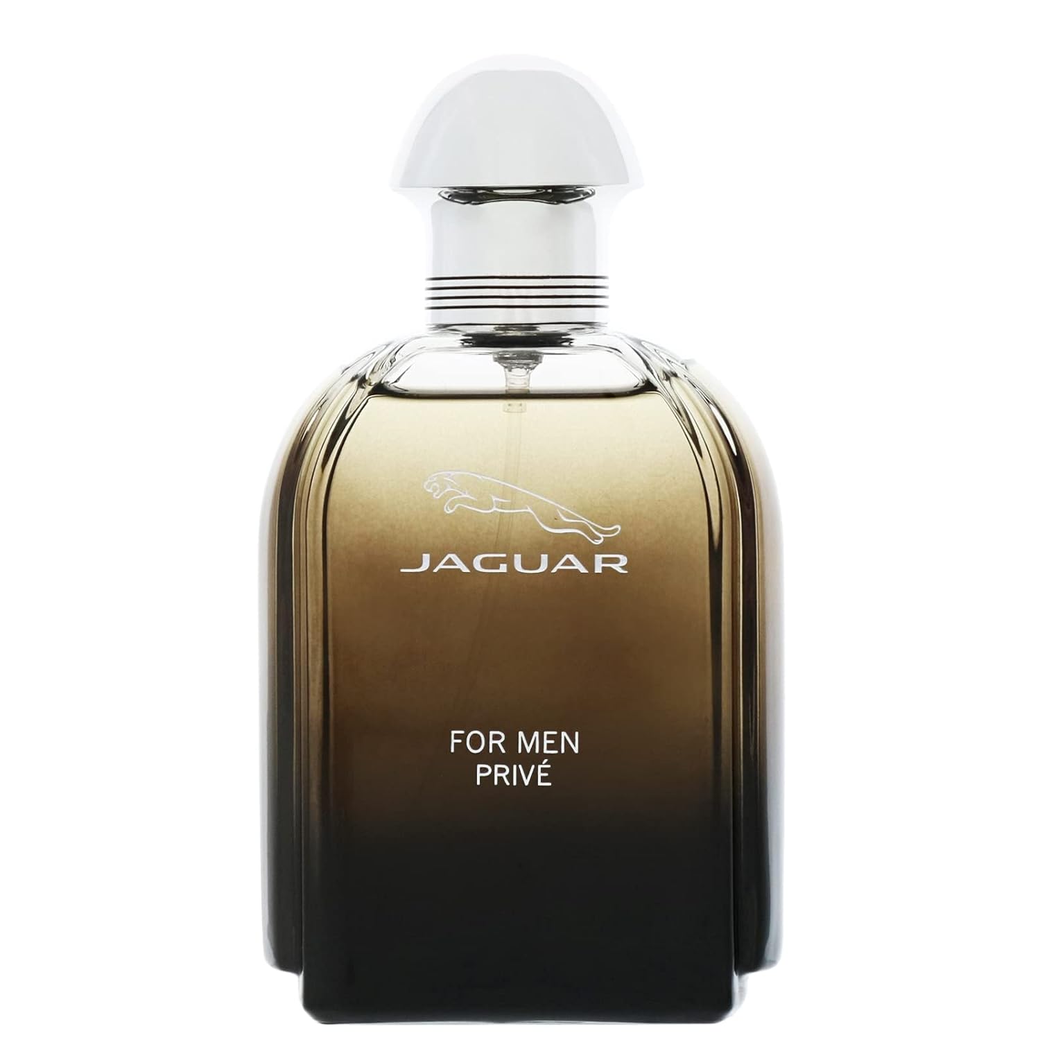 Jaguar For Men Prive Eau de Toilette 100 ml For Men